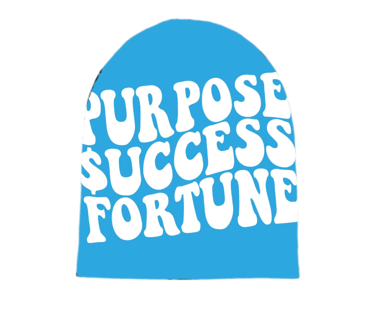 Purpose $uccess Fortune Skull Cap